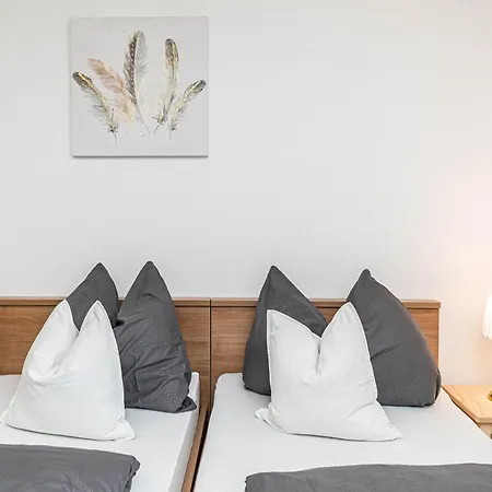 Simic * 트로기르